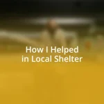 How I Helped in Local Shelter