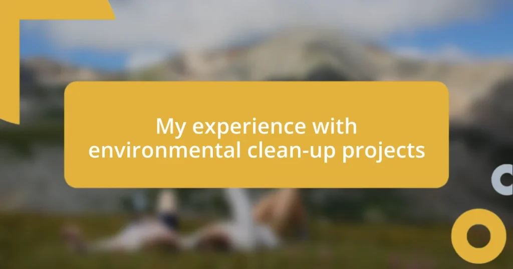 My experience with environmental clean-up projects