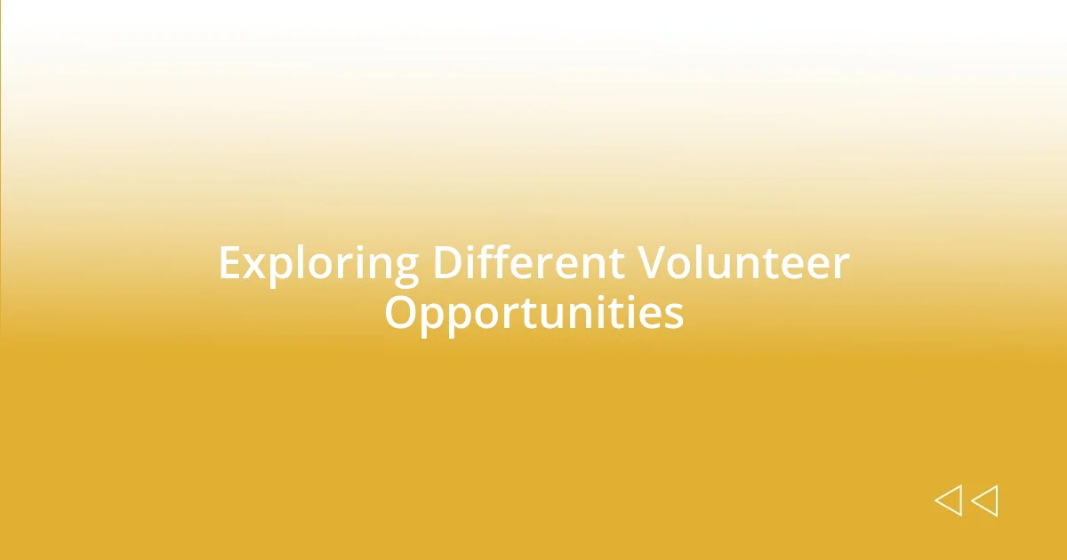 Exploring Different Volunteer Opportunities