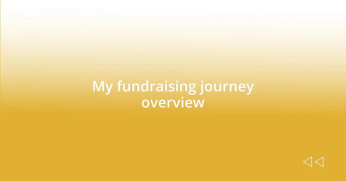 My fundraising journey overview