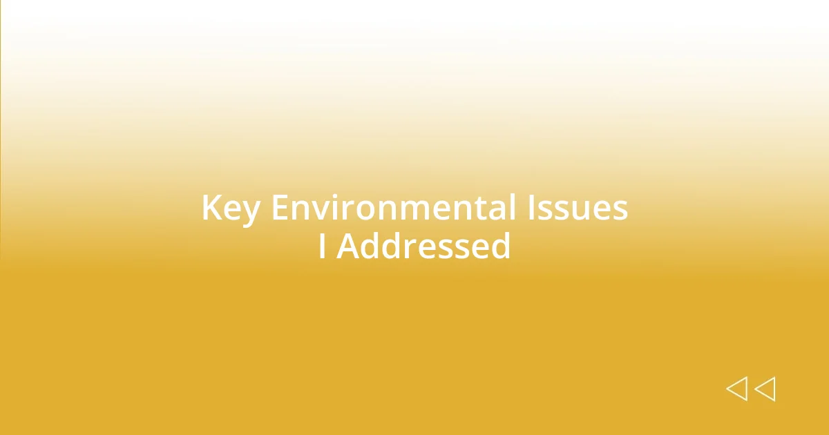 Key Environmental Issues I Addressed