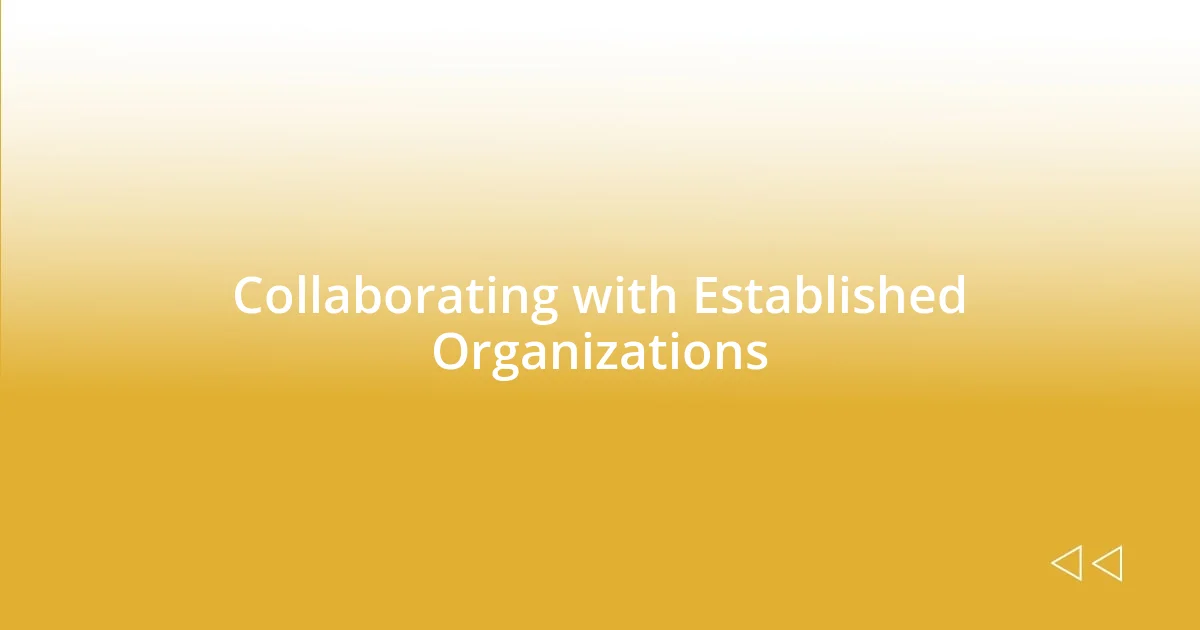 Collaborating with Established Organizations